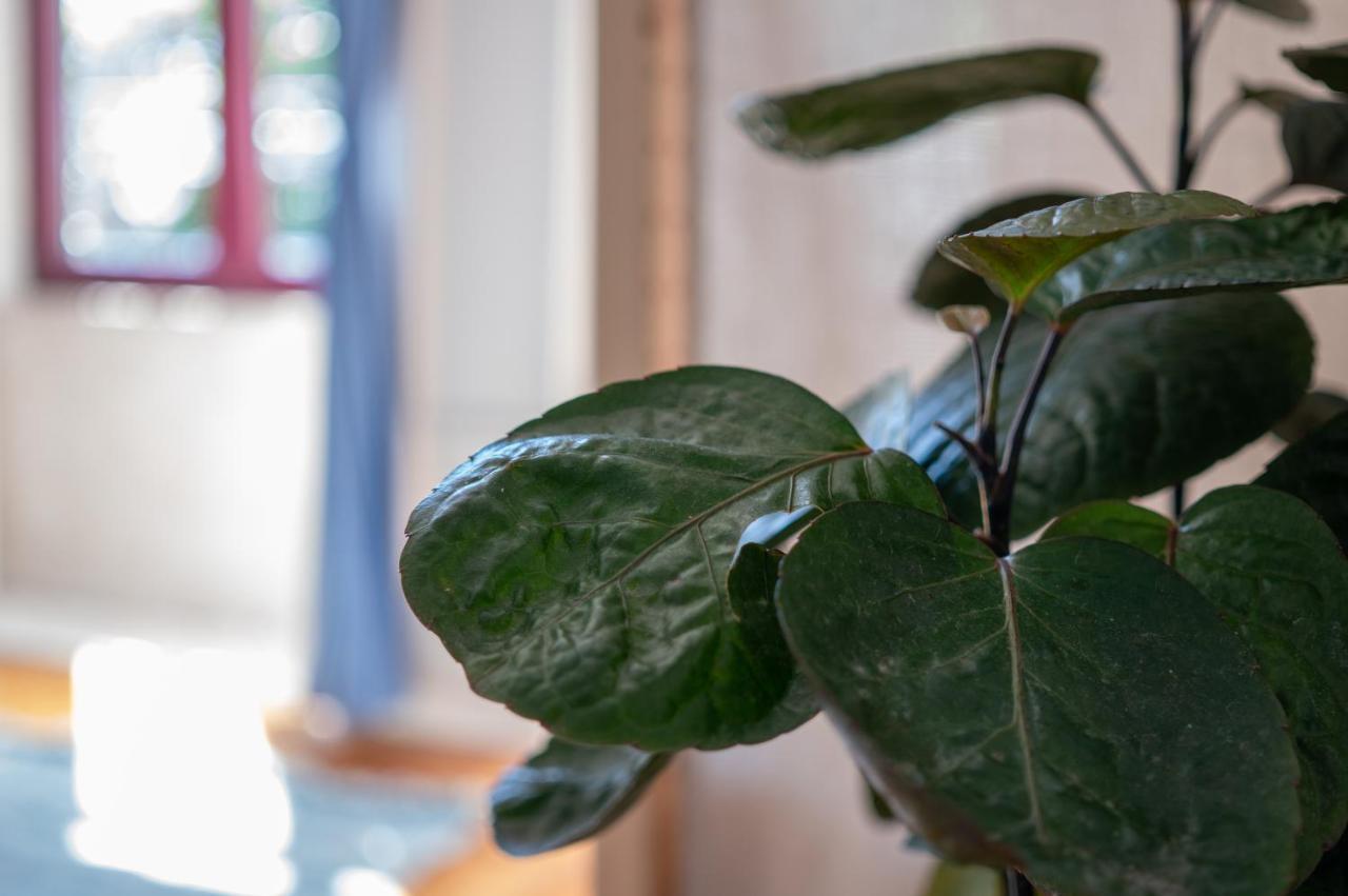 Jardim De Sao Lazaro - Porto Apartments エクステリア 写真